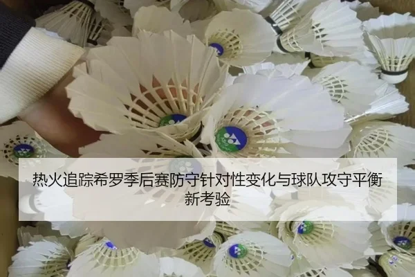 热火追踪希罗季后赛防守针对性变化与球队攻守平衡新考验